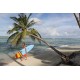 Twinsbros Surfboards- Black Swan