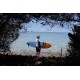 Twinsbros Surfboards- Black Swan