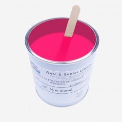 Pigmento per resine Rosa Fluo 50 gr