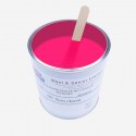 Pigmento per resine Rosa Fluo/pink 50 gr