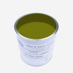 Pigmento per resine Palm Green 50 gr